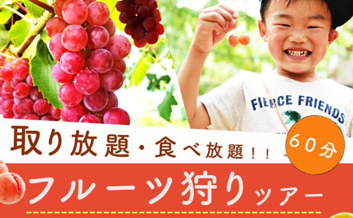バナー：フルーツ狩り