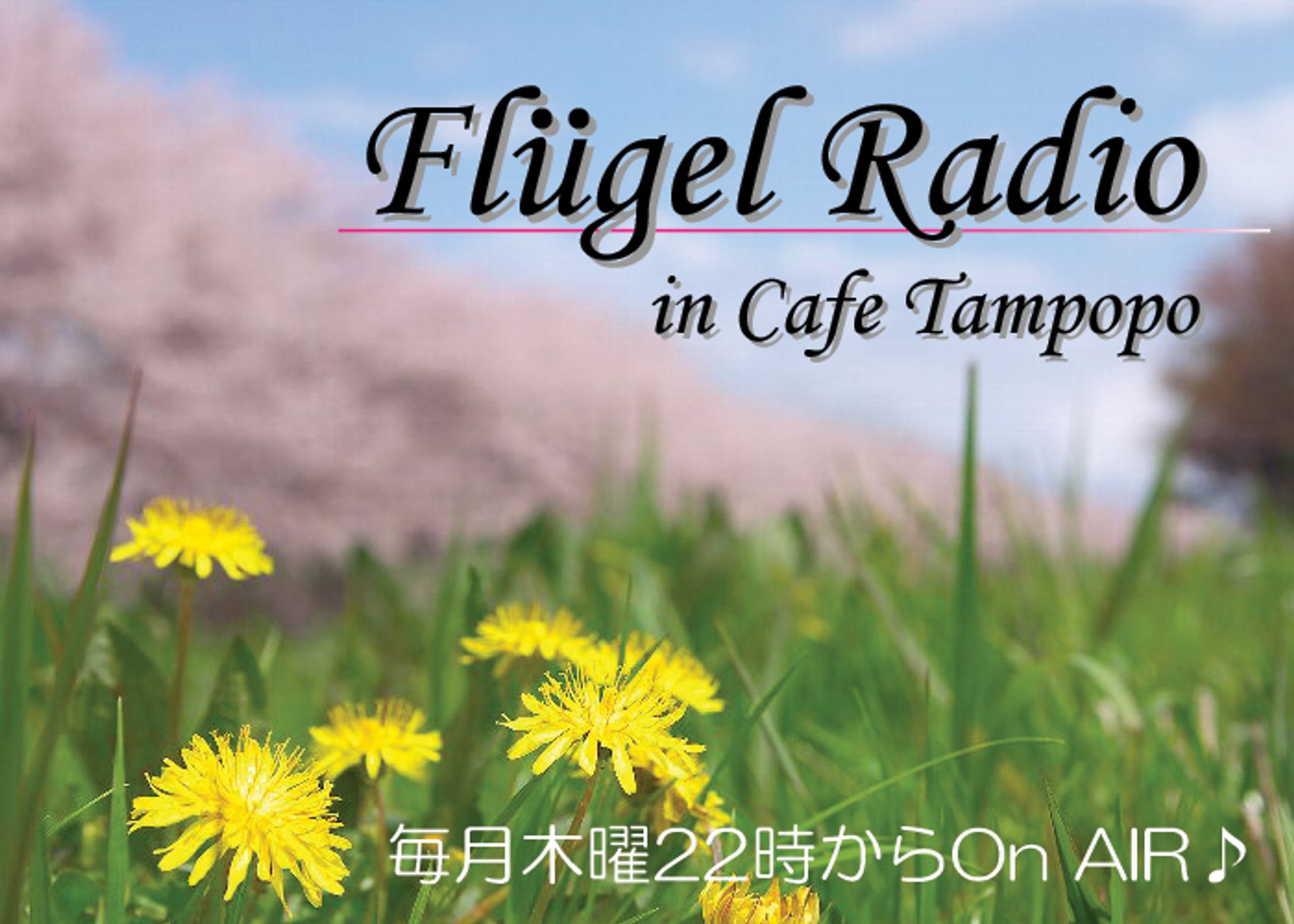2010.7.8 Flügel Radio：10【SL】-1
