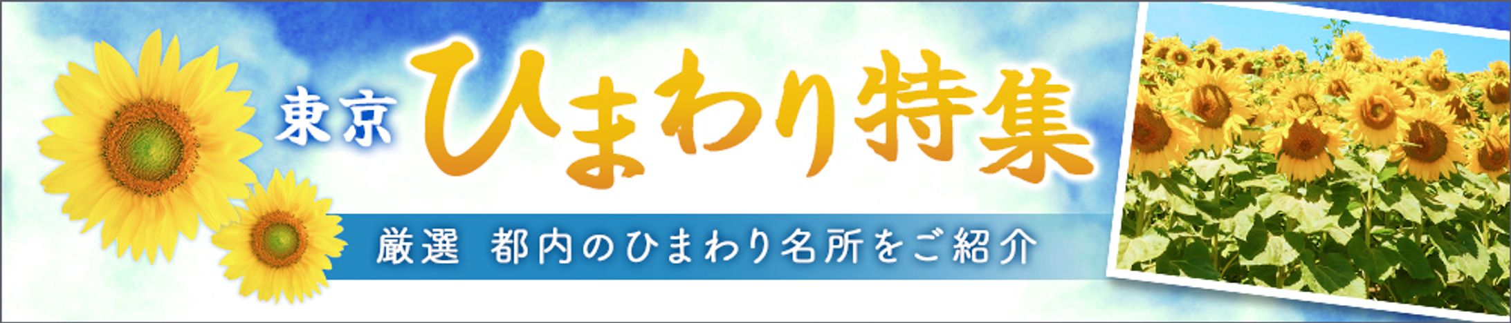 架空バナー-1