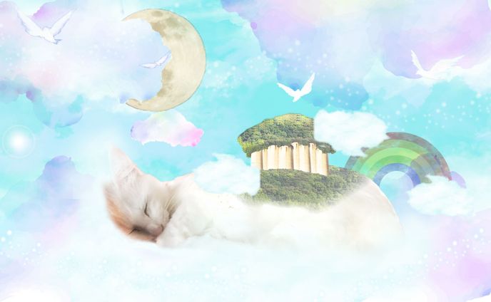 【コラージュ】夢の世界