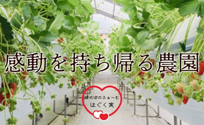 いちご農園キービジュアル