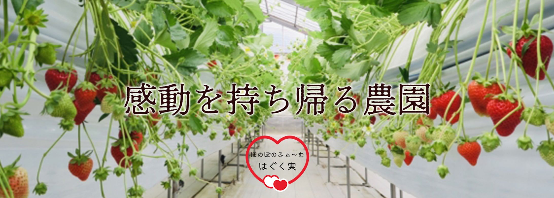 いちご農園キービジュアル-1
