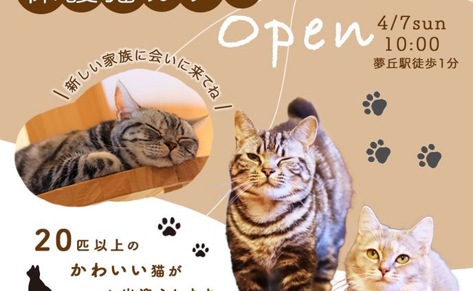 猫カフェの集客バナー