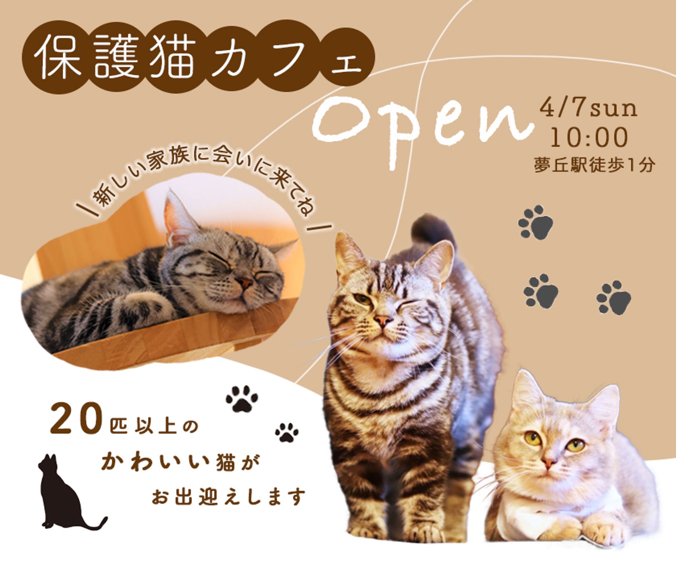 猫カフェの集客バナー-1