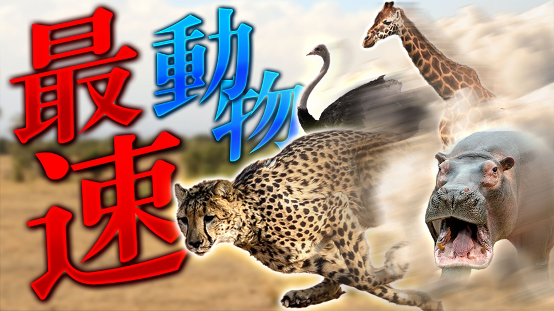 2/16 サイエンス系サムネイル-1
