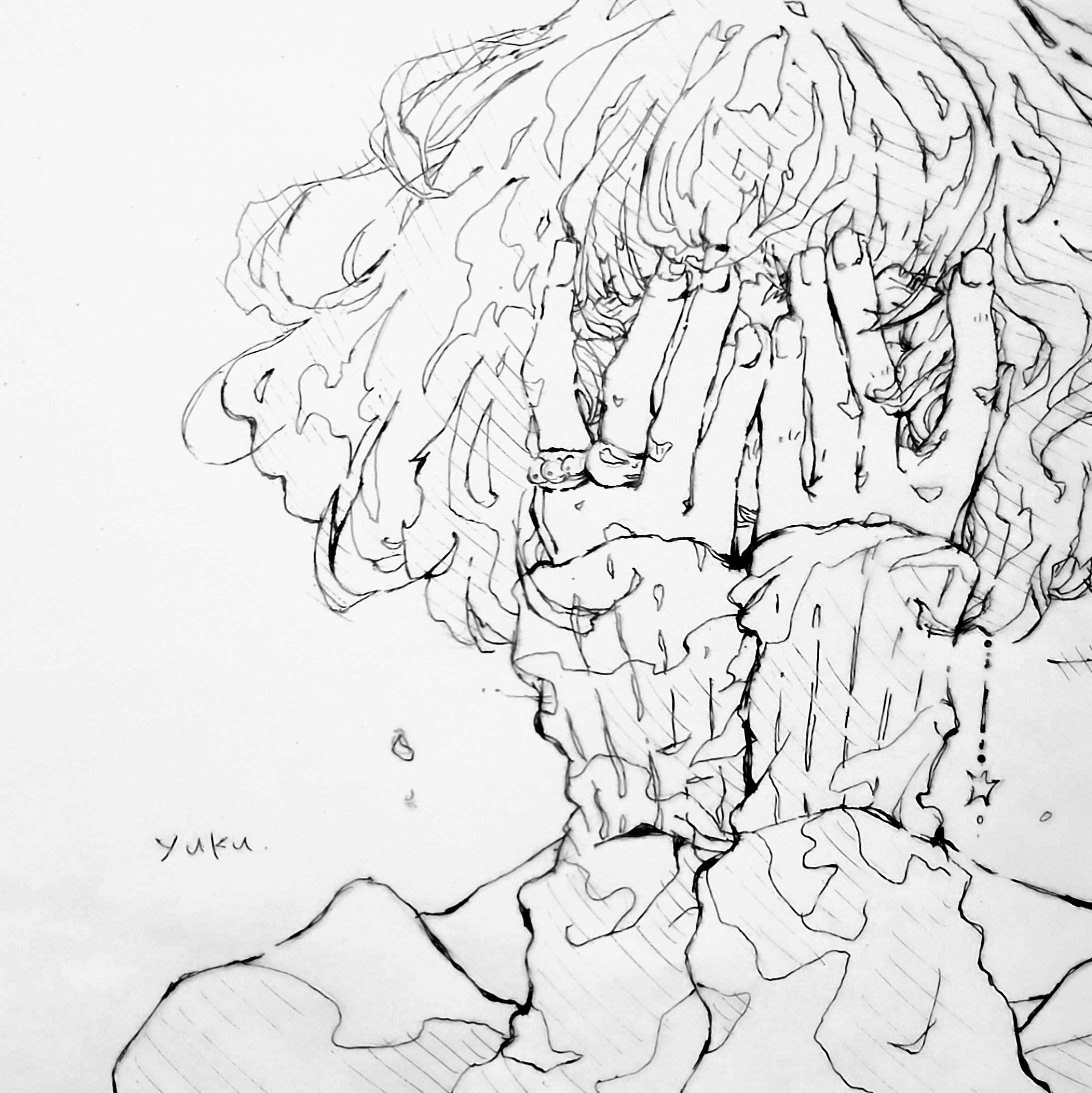 DSC 1003~4-1