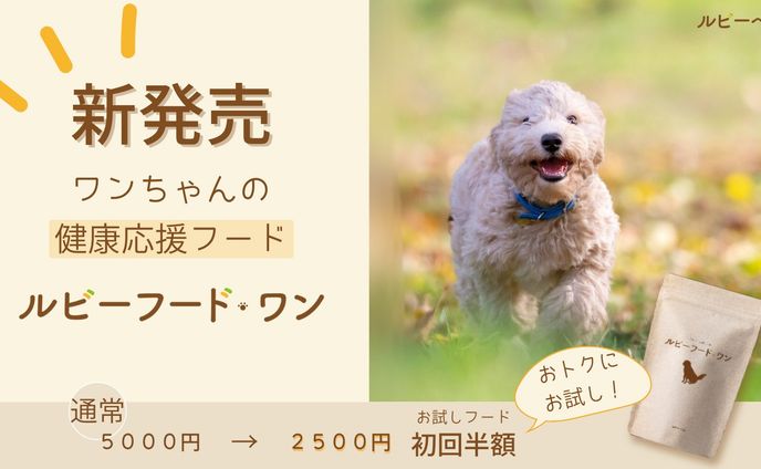 バナー（SNS、架空ドッグフード広告）