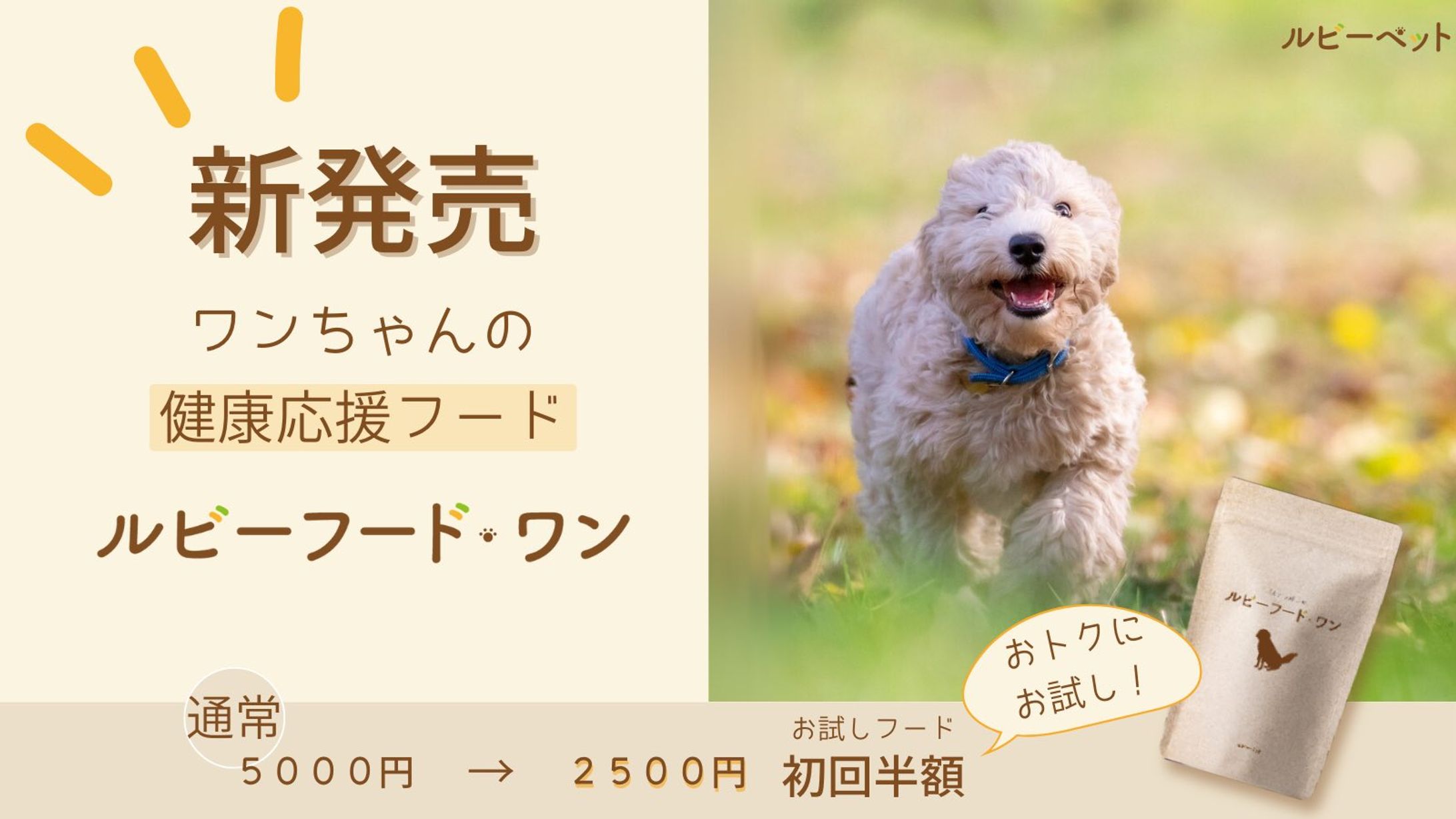 バナー（SNS、架空ドッグフード広告）-1