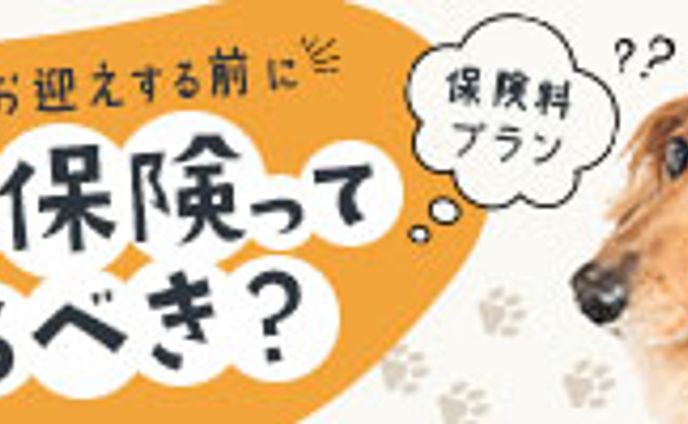 ペット保険