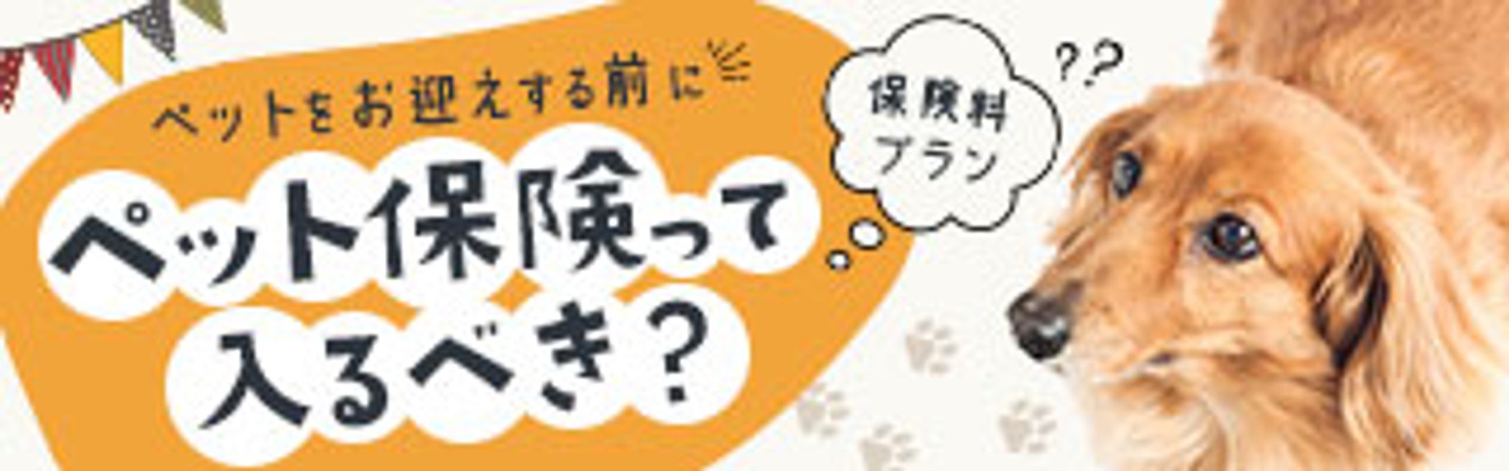 ペット保険-1