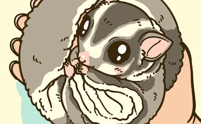 リクエストのペットイラスト