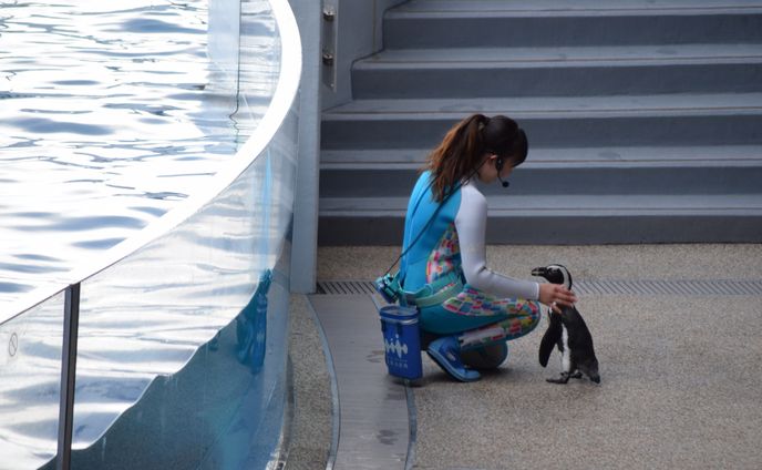 水族館