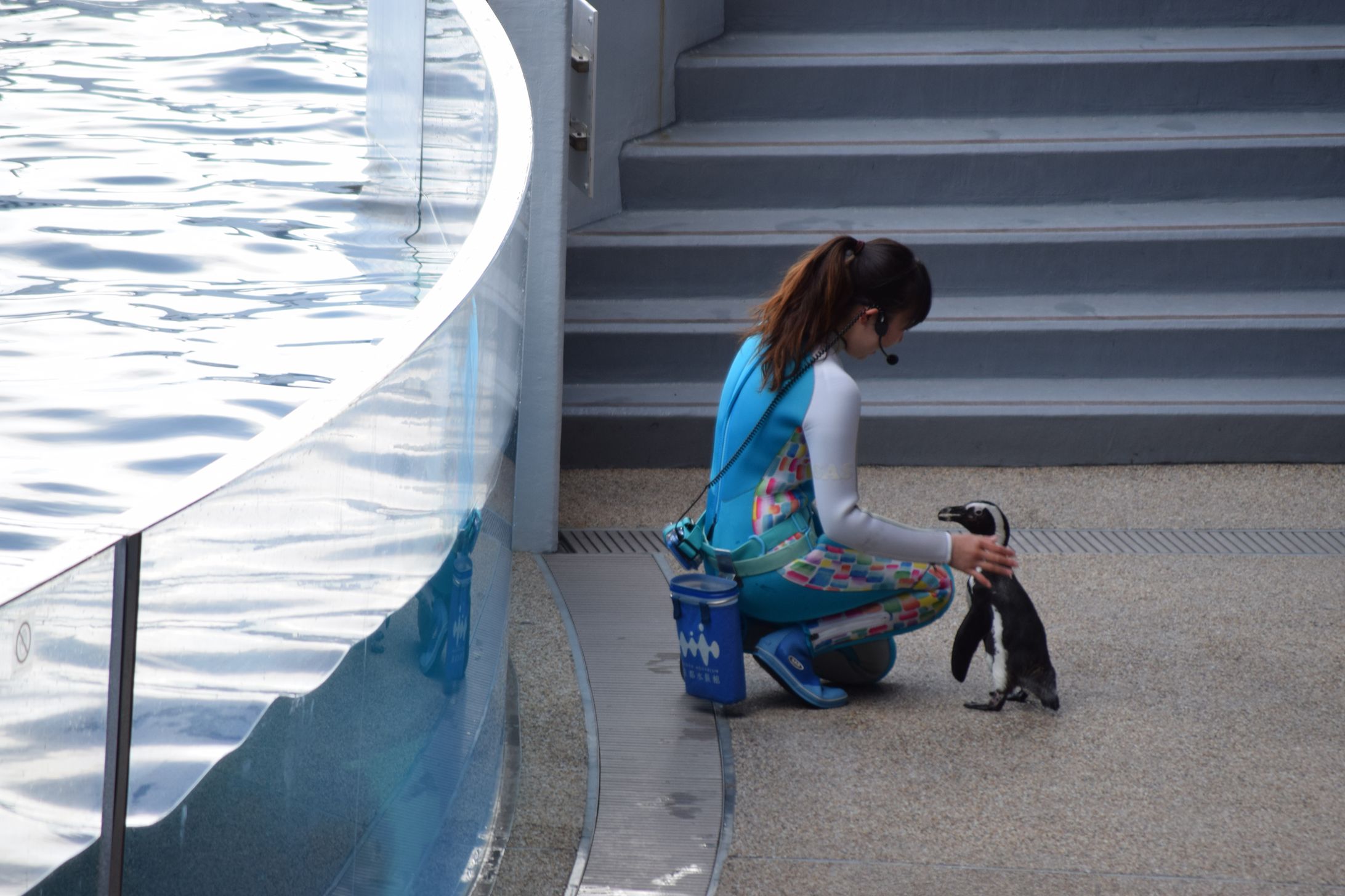水族館-1