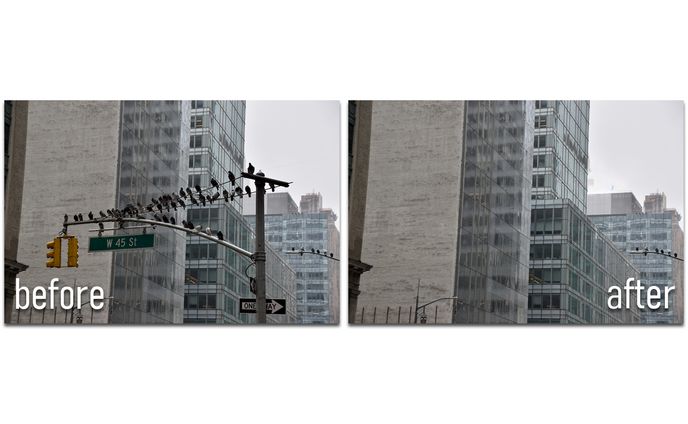 複雑構図での電柱と鳥の除去レタッチ