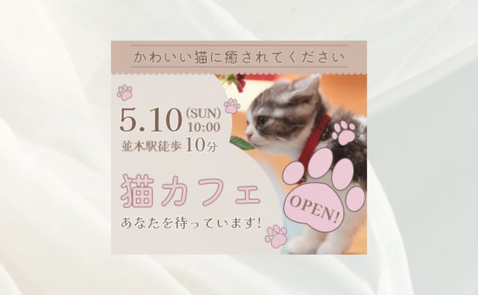 猫カフェ　