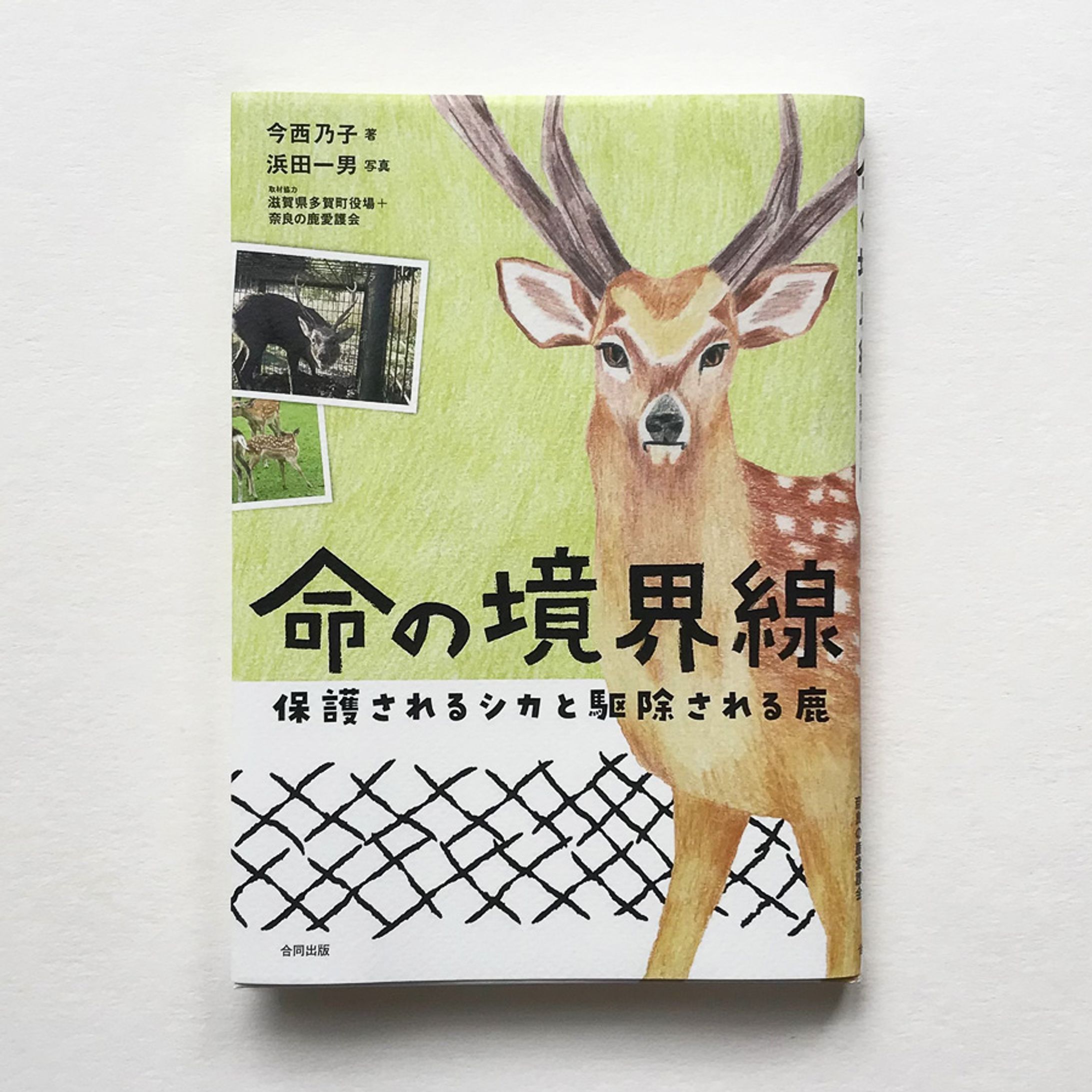 「命の境界線」 装画-1