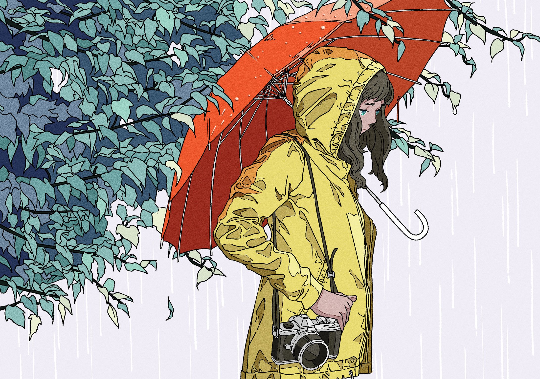 rain-1