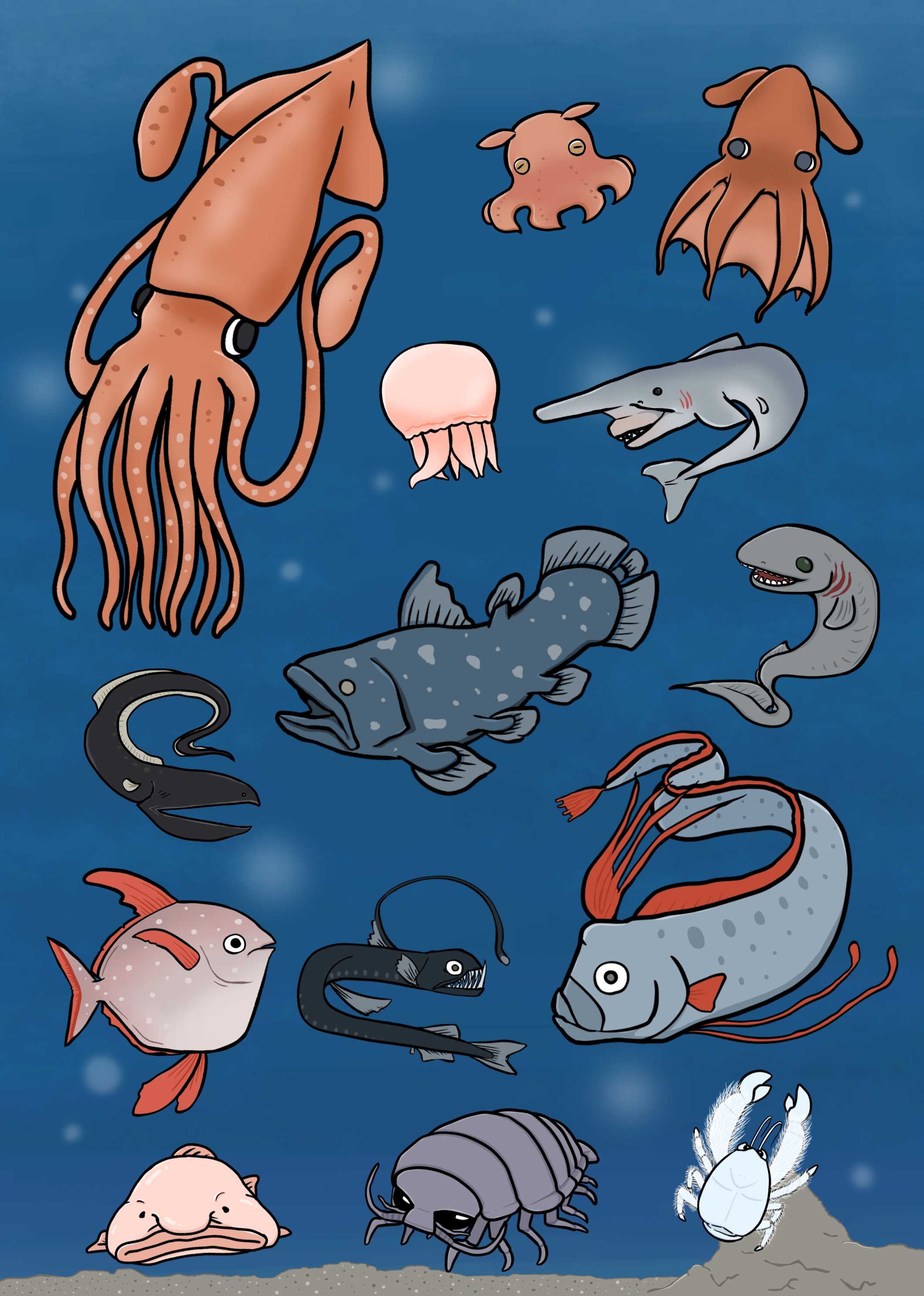 深海生物イラスト-1