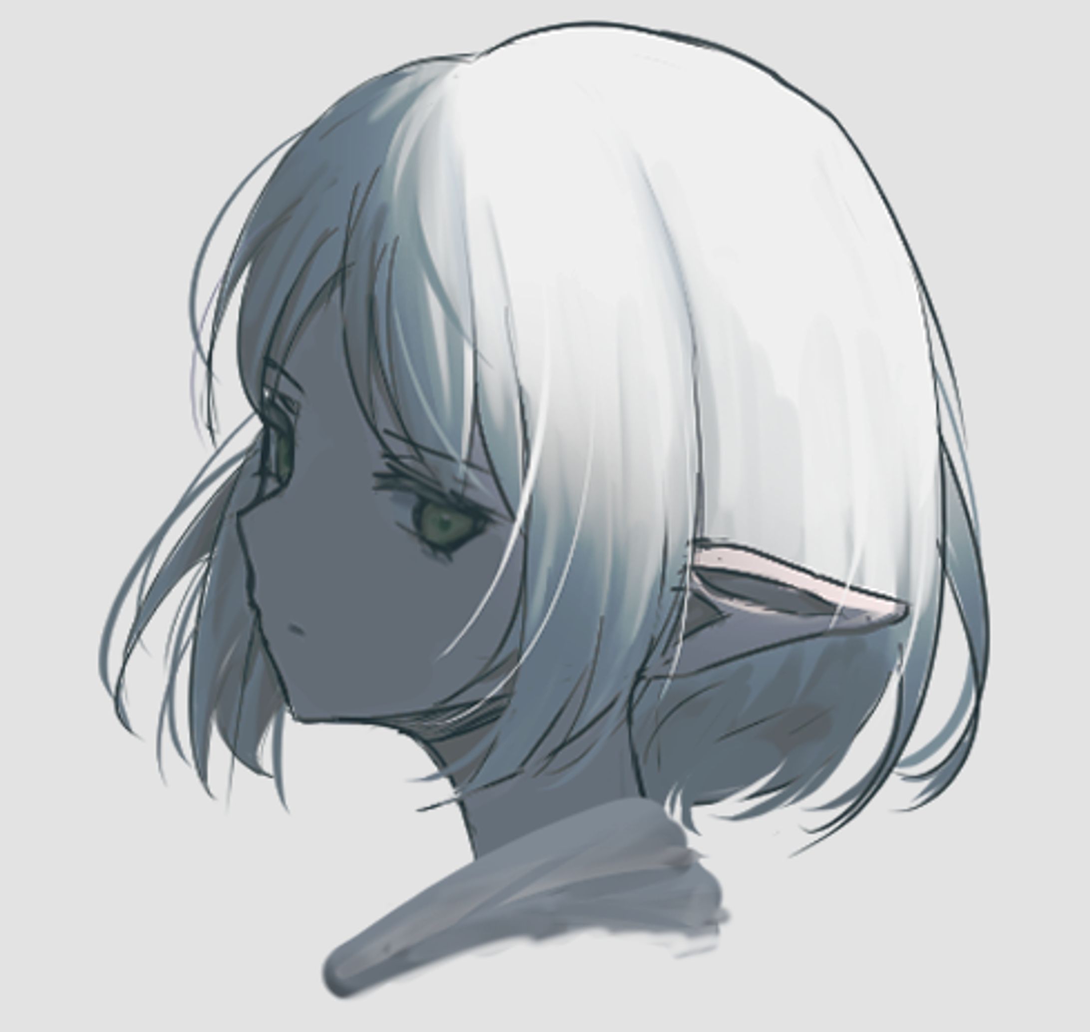 frieren shorthair-1