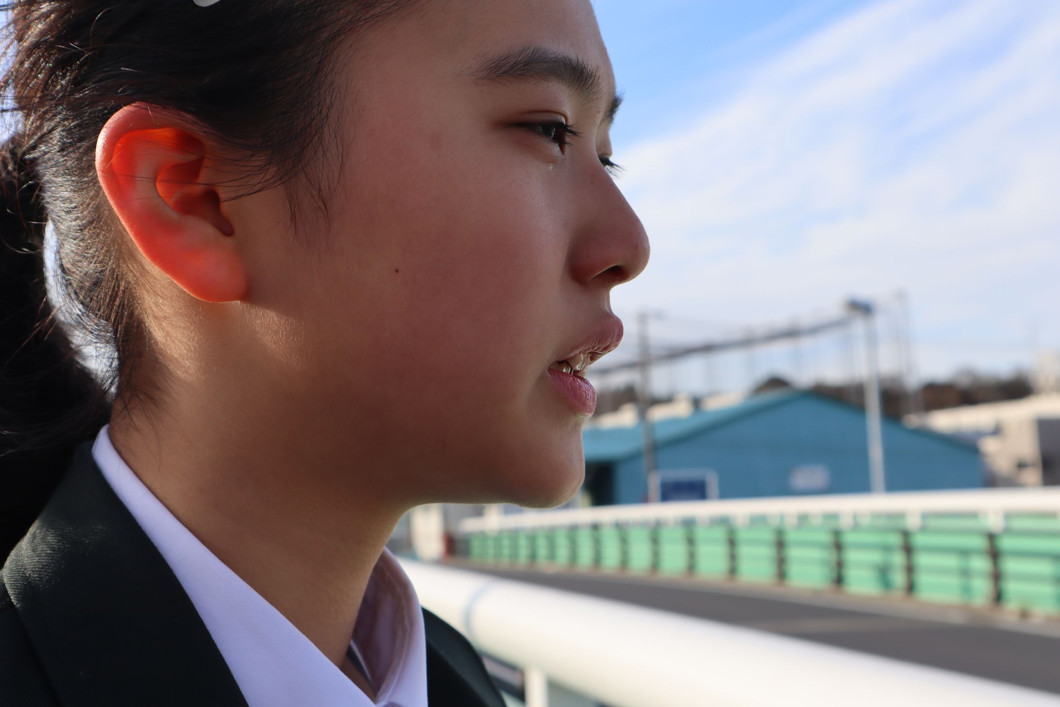 写真まとめ-1