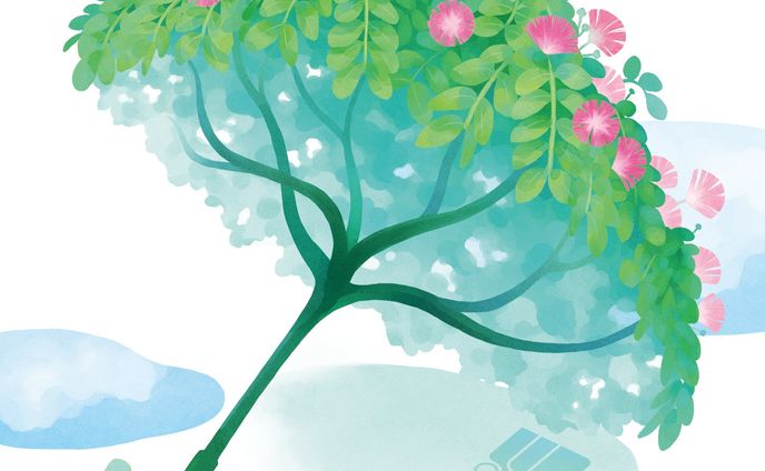 447 Records「The Rain Tree」参加