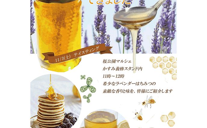 【チラシ】はちみつ専門店新入荷テイスティング