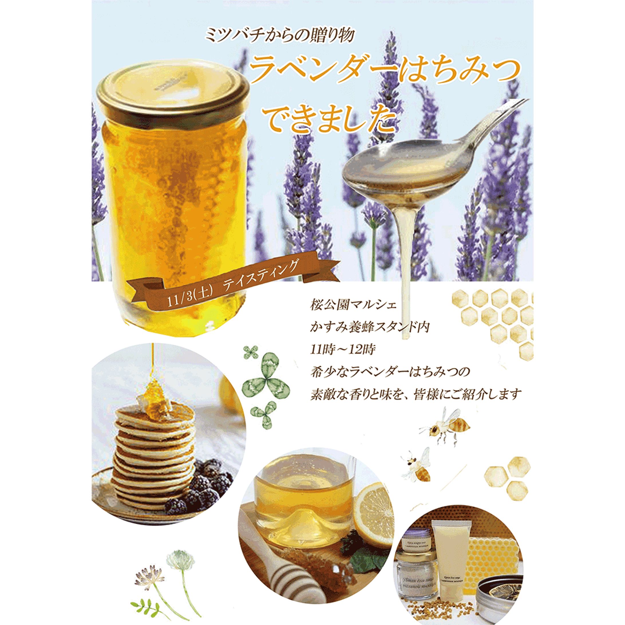 【チラシ】はちみつ専門店新入荷テイスティング-1