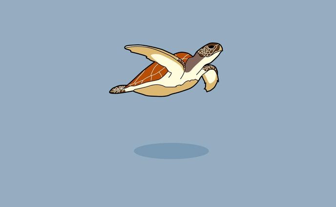 イラストレーター／デザイナー、海の生き物