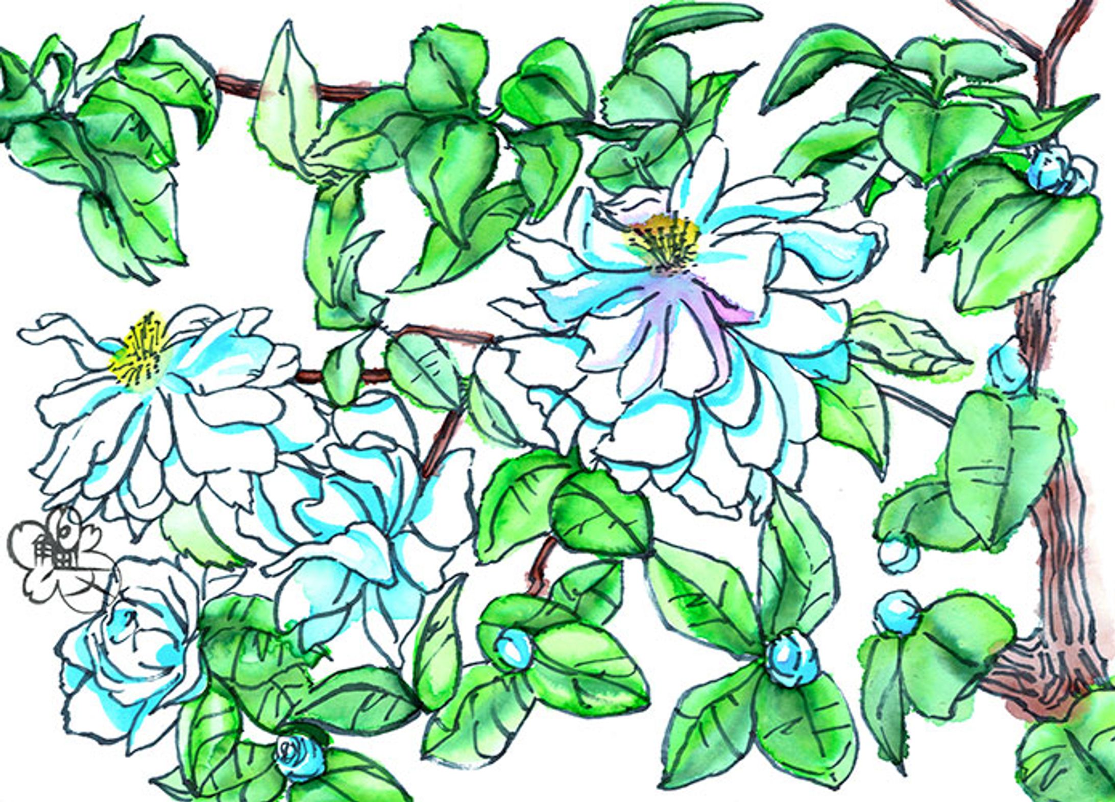 2017年の日本画と水彩画-1