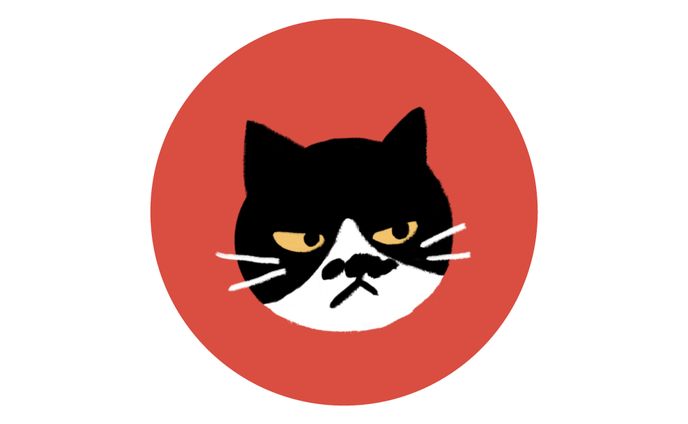 A：ハチワレねこ