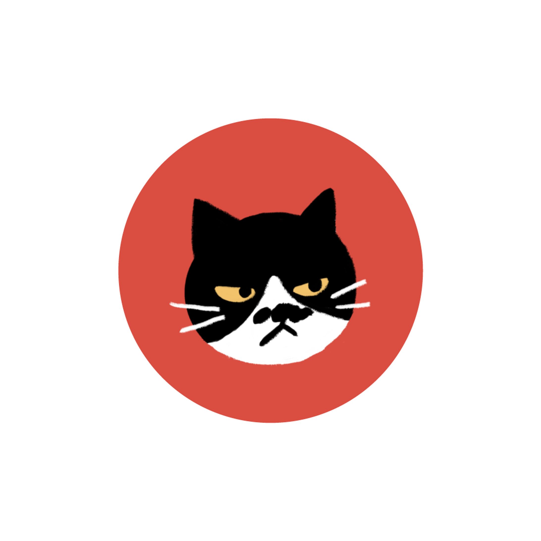 A：ハチワレねこ-1