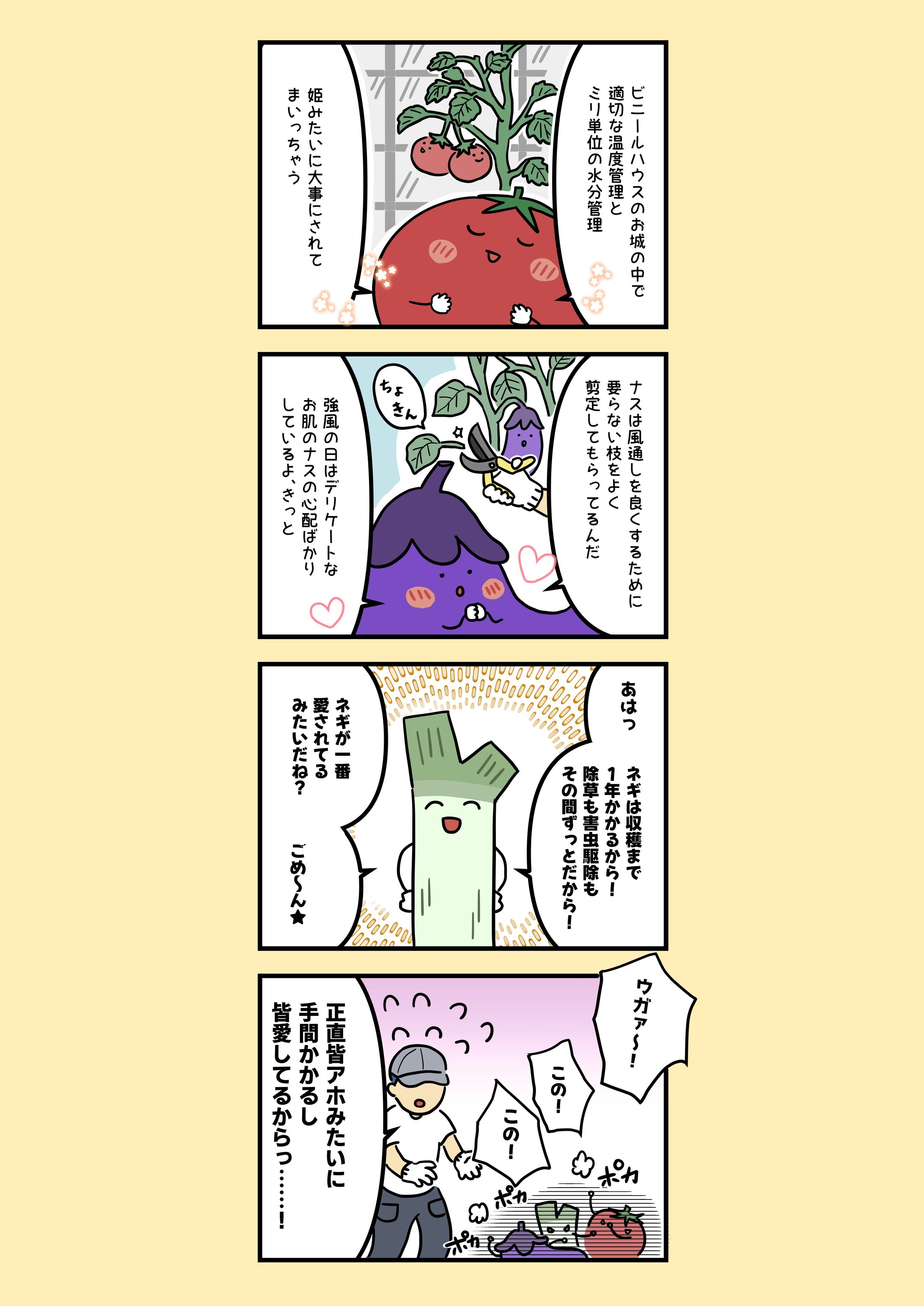 4コマ漫画　野菜たちのマウント-1