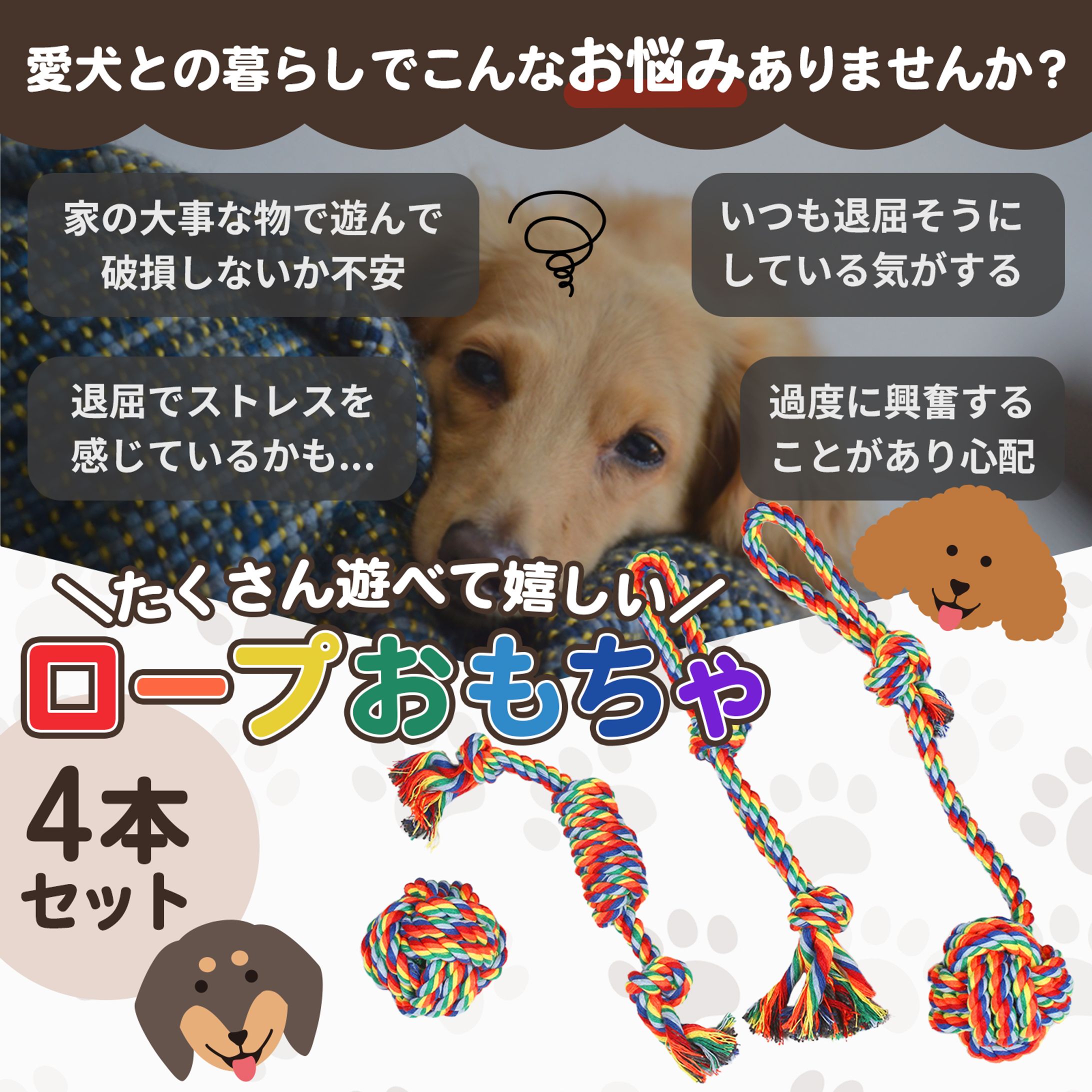 【Amazon商品画像】ペット用品-1