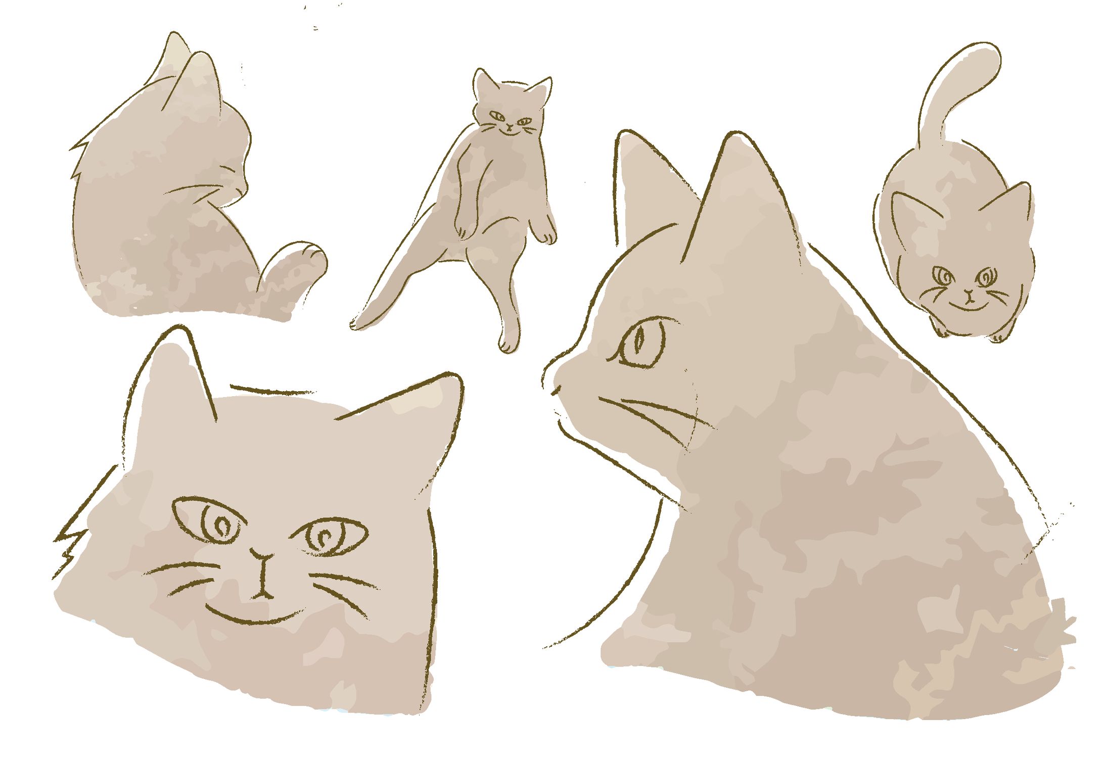 猫イラスト　リアルタッチ-1