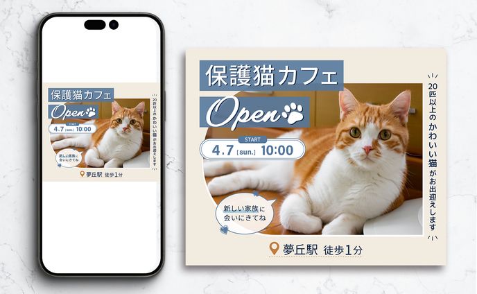 保護ネコカフェ　広告バナー②（架空）