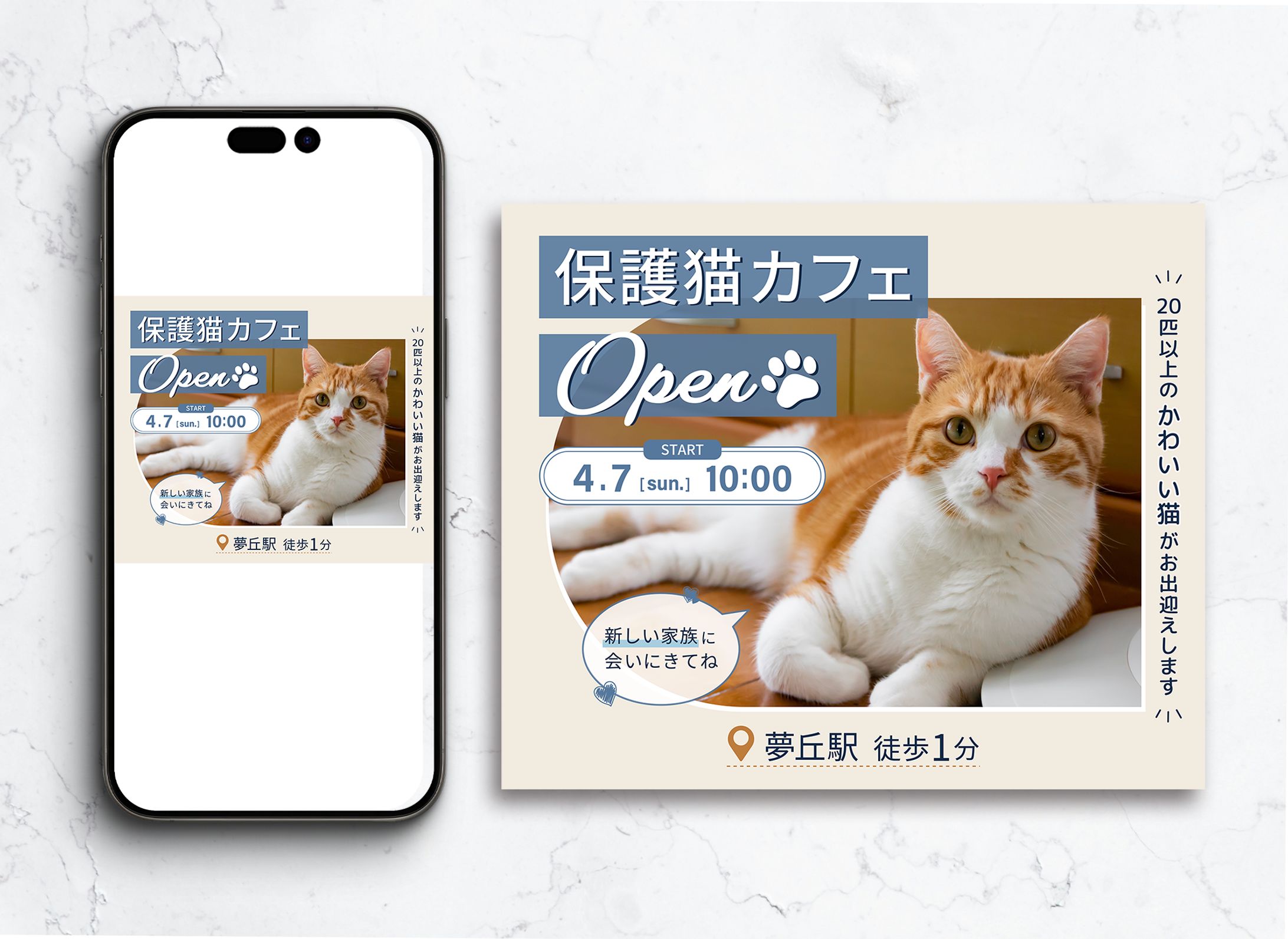 保護ネコカフェ　広告バナー②（架空）-1