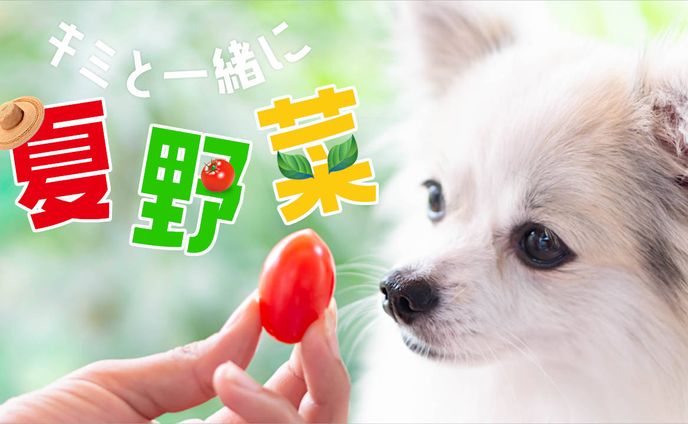 ブログ アイキャッチ