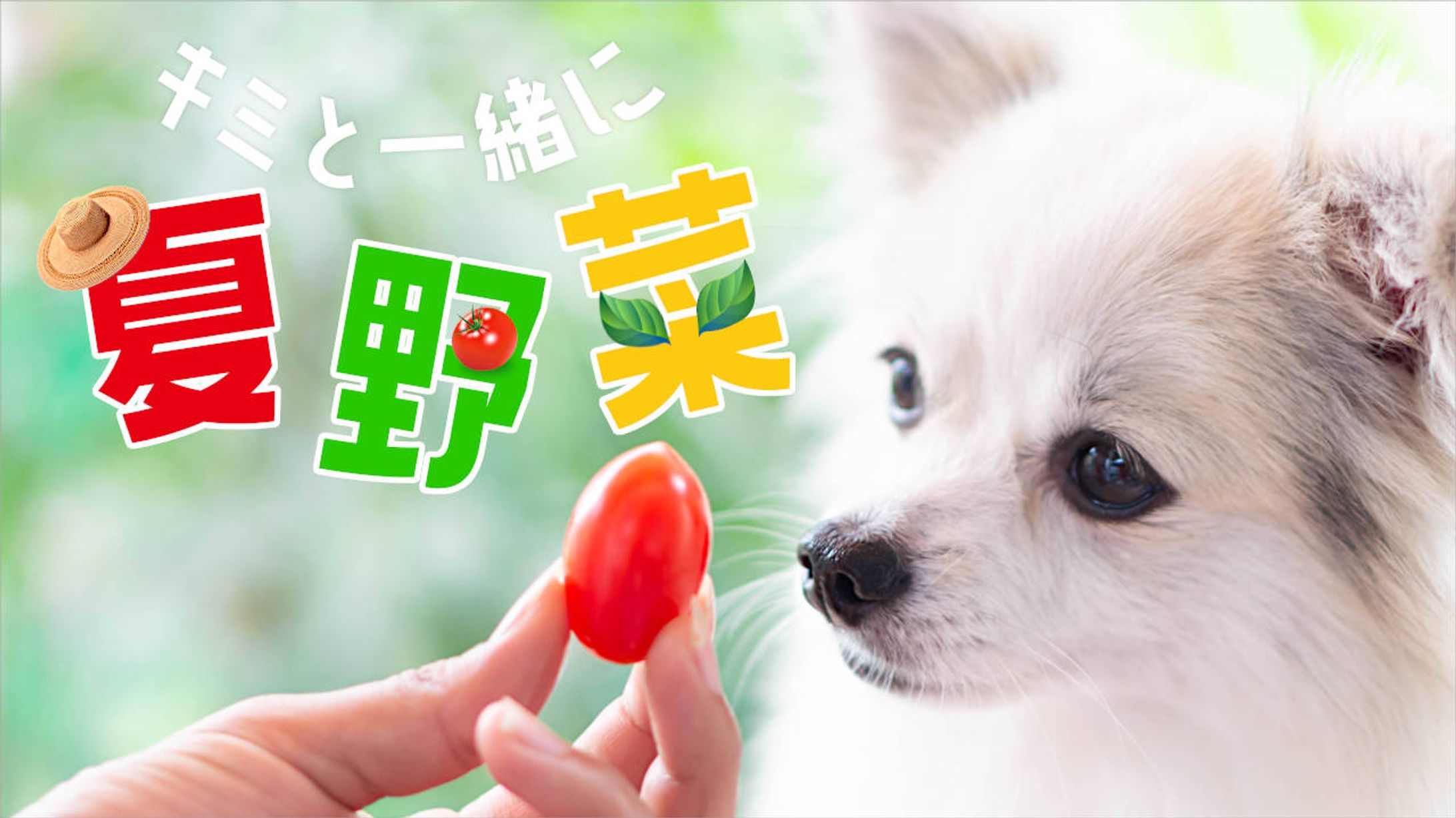 ブログ アイキャッチ-1