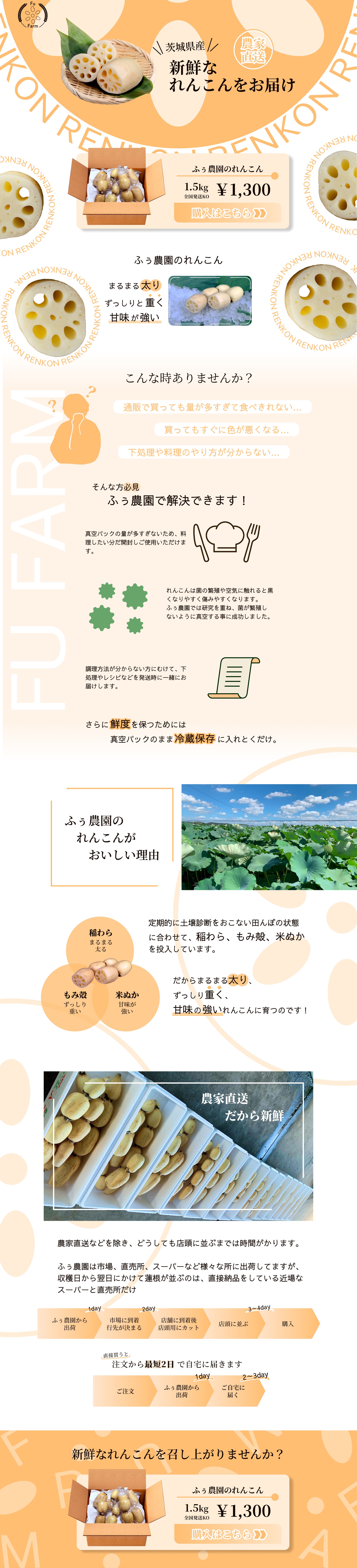 蓮根農園_LP-1