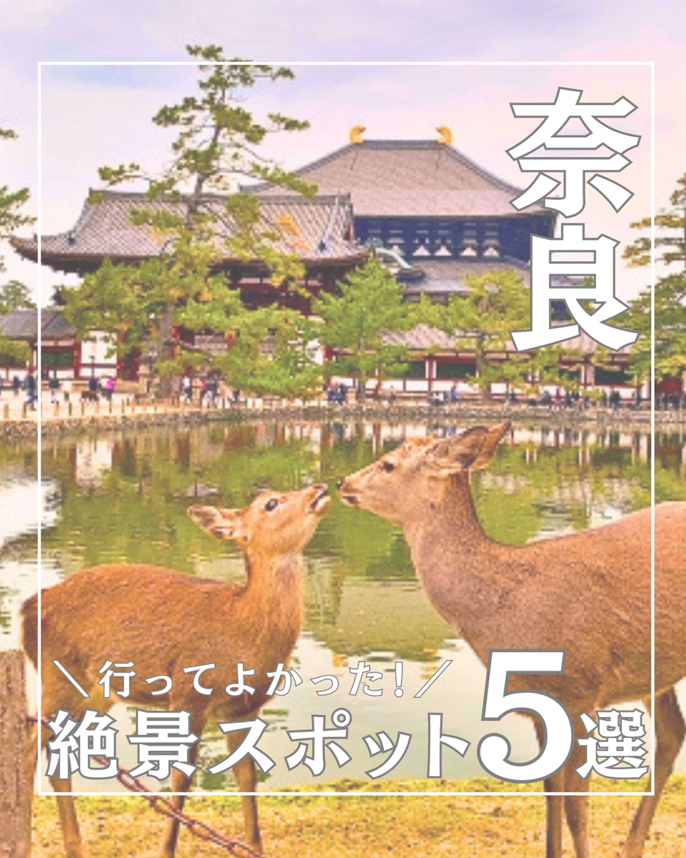 フィード⑤（旅行系）-1