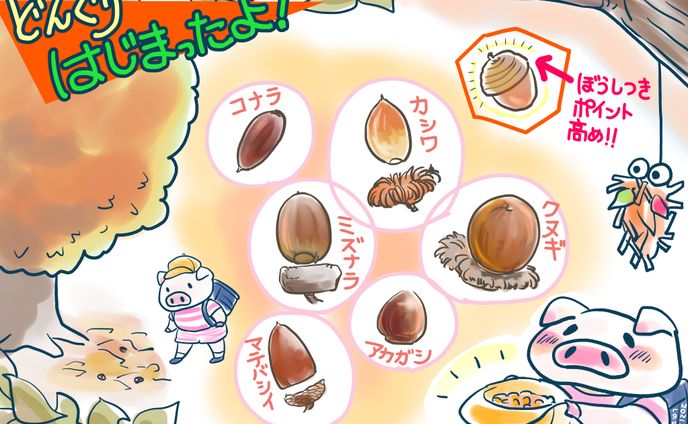 テスト、野球