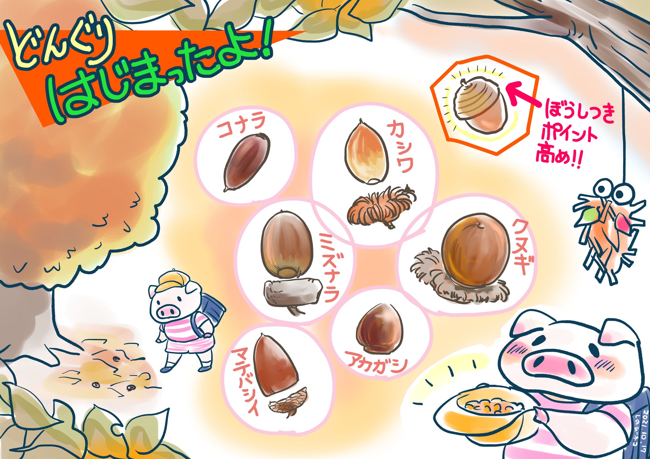 ブタ君のどんぐり-1