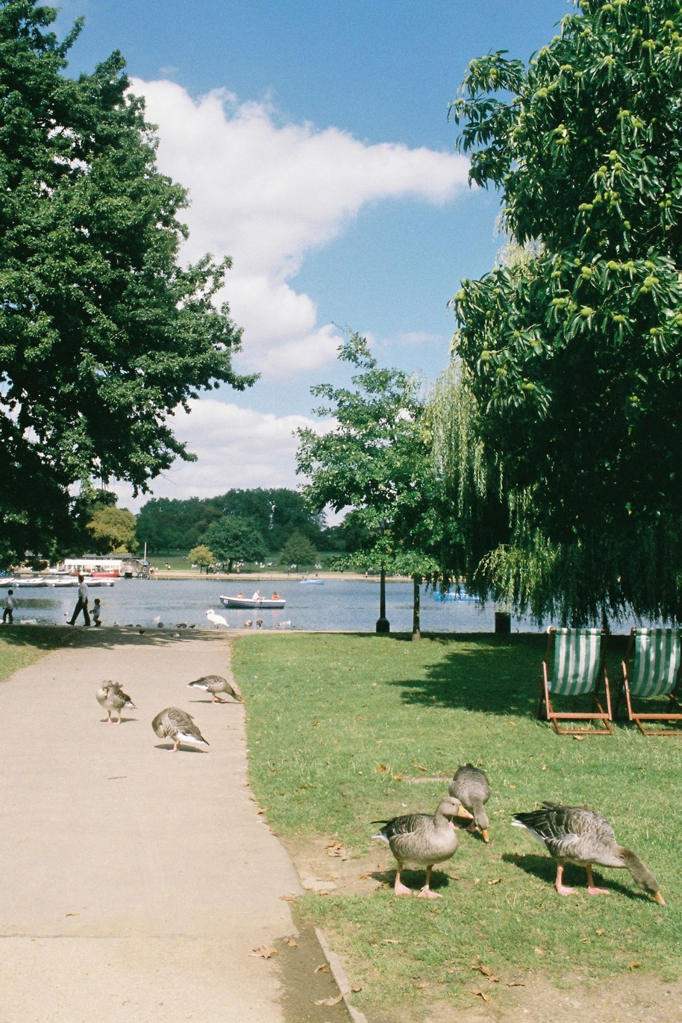 Personal Photography (35mm Film)-1