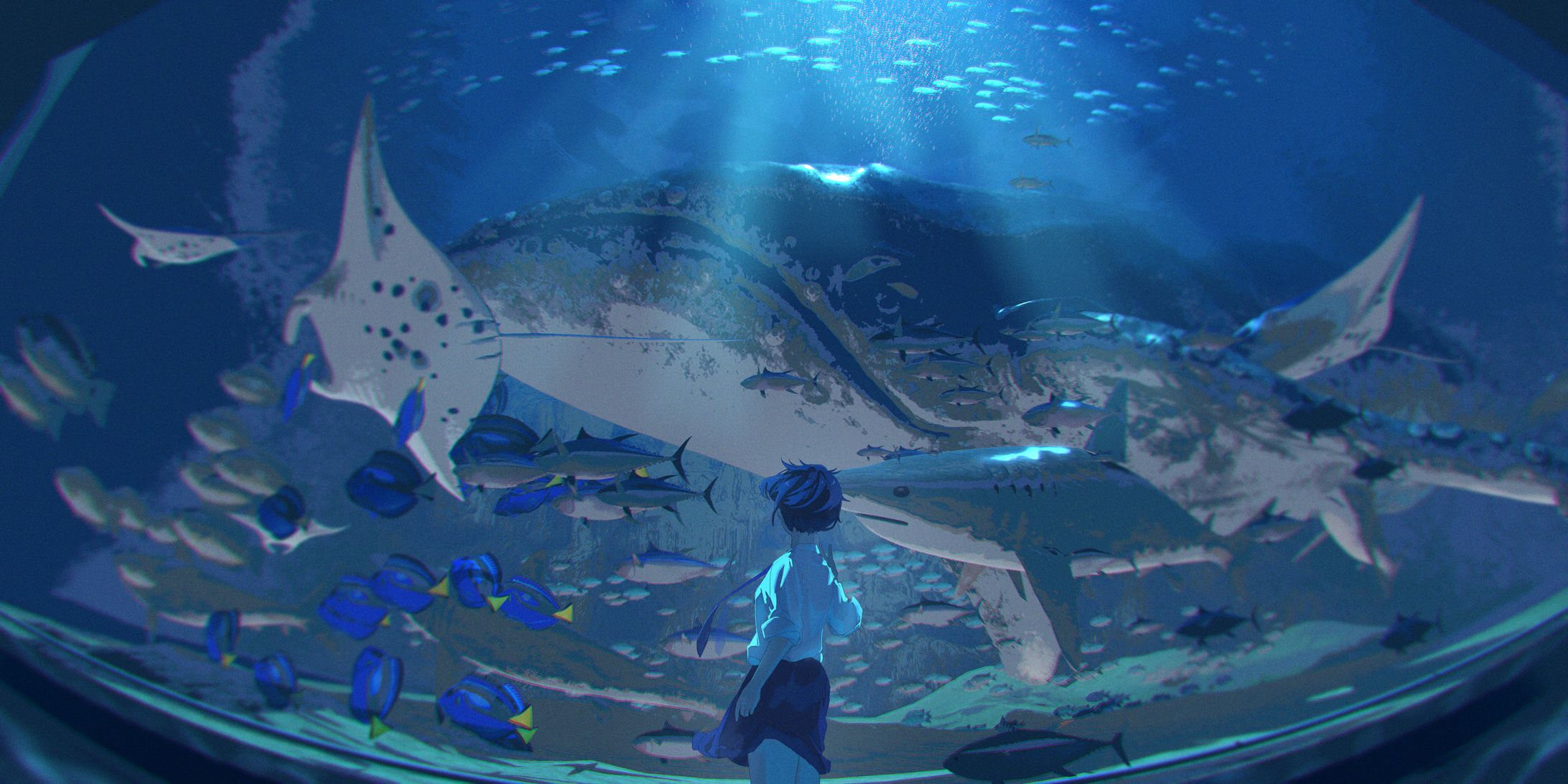 bloop-1