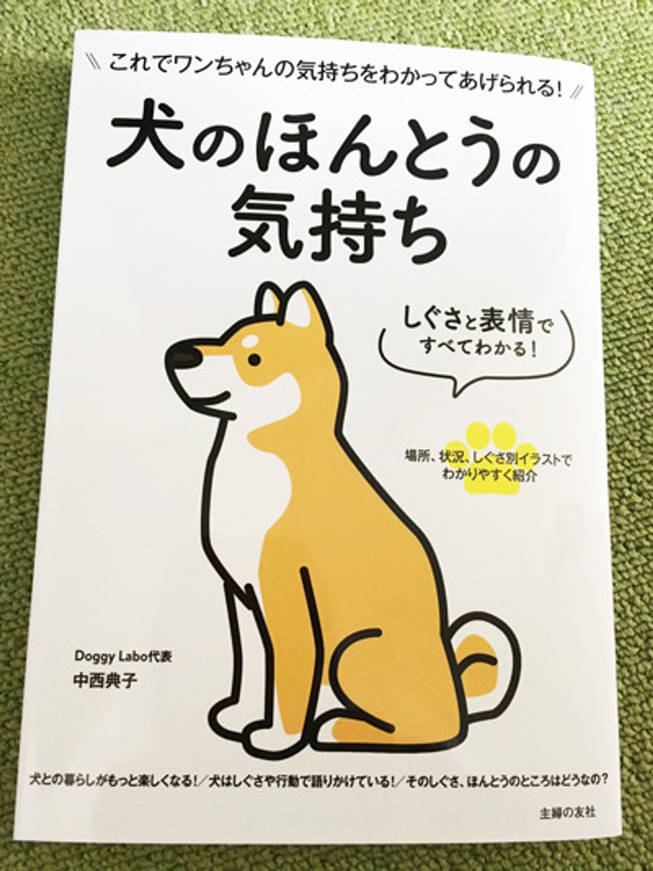 書籍　犬イラスト-1
