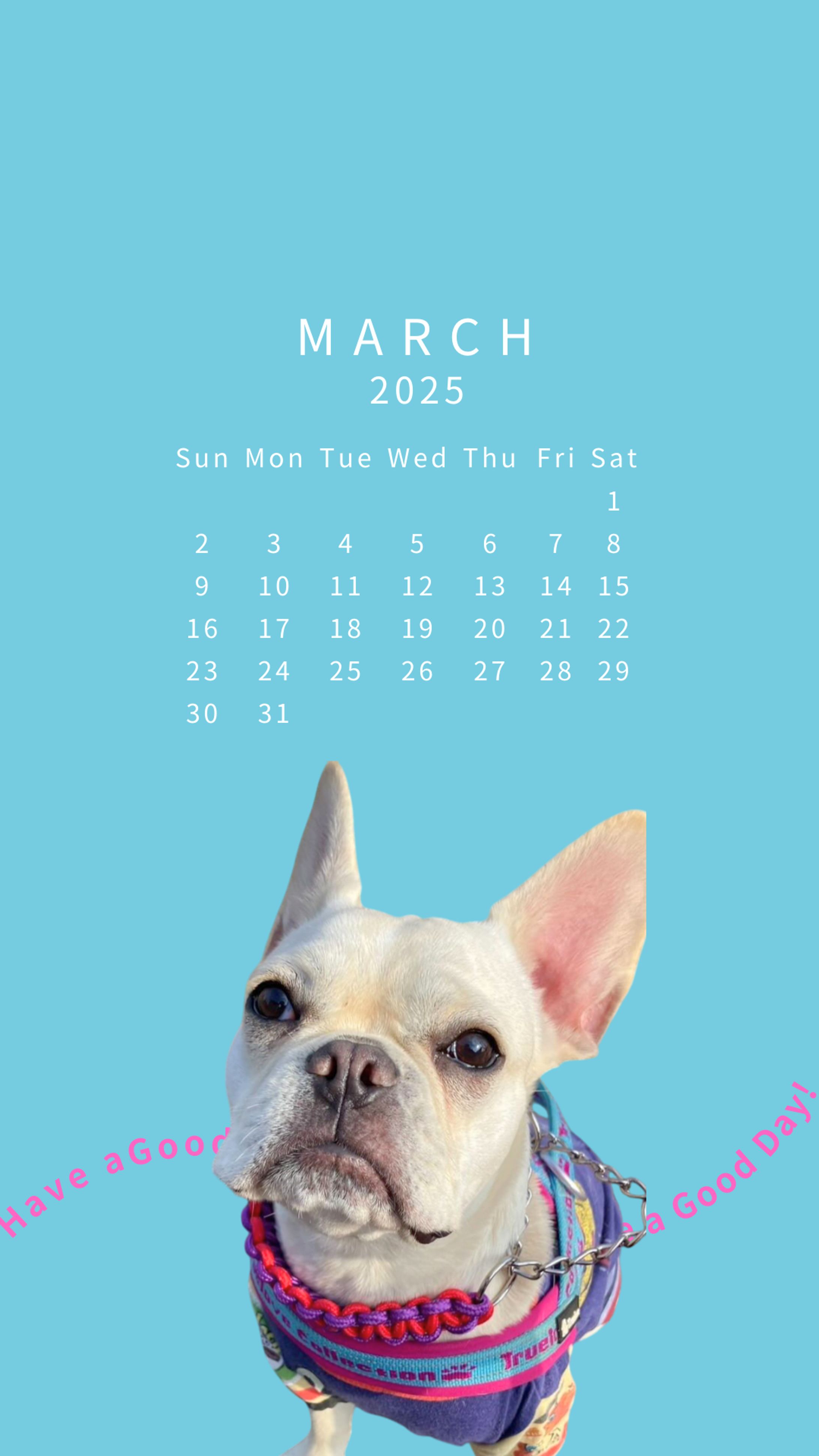 【カレンダー】3月-1