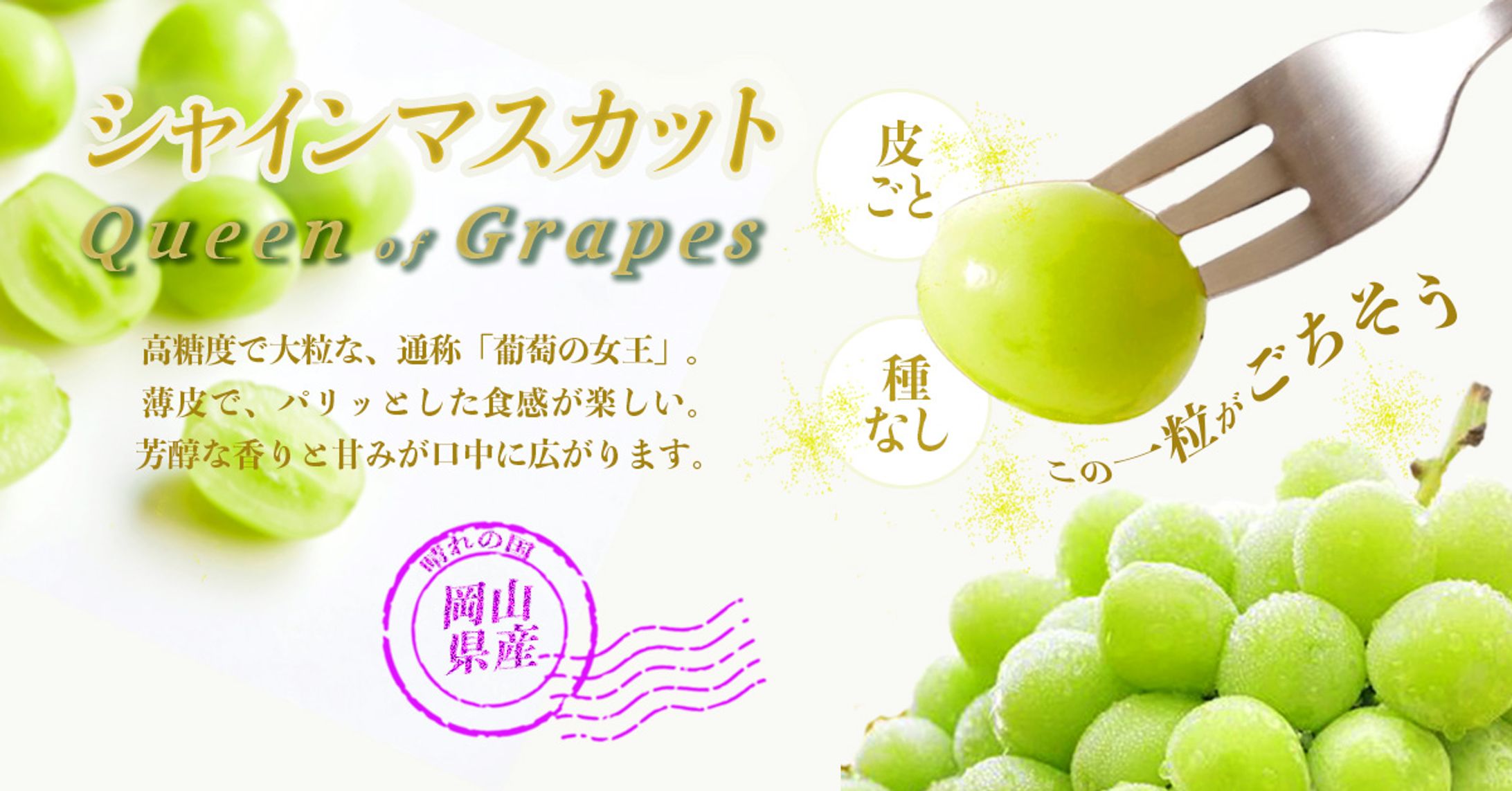 マスカットバナー-1