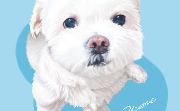 [work]個人様 愛犬様のイラスト