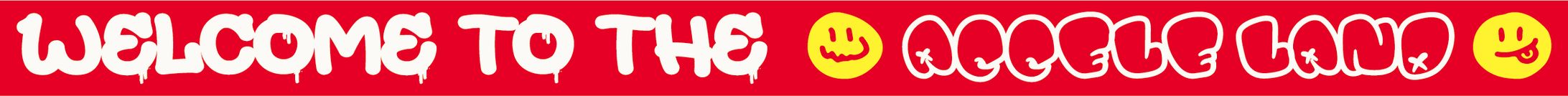 Welcome To The ACCELE LAND-1