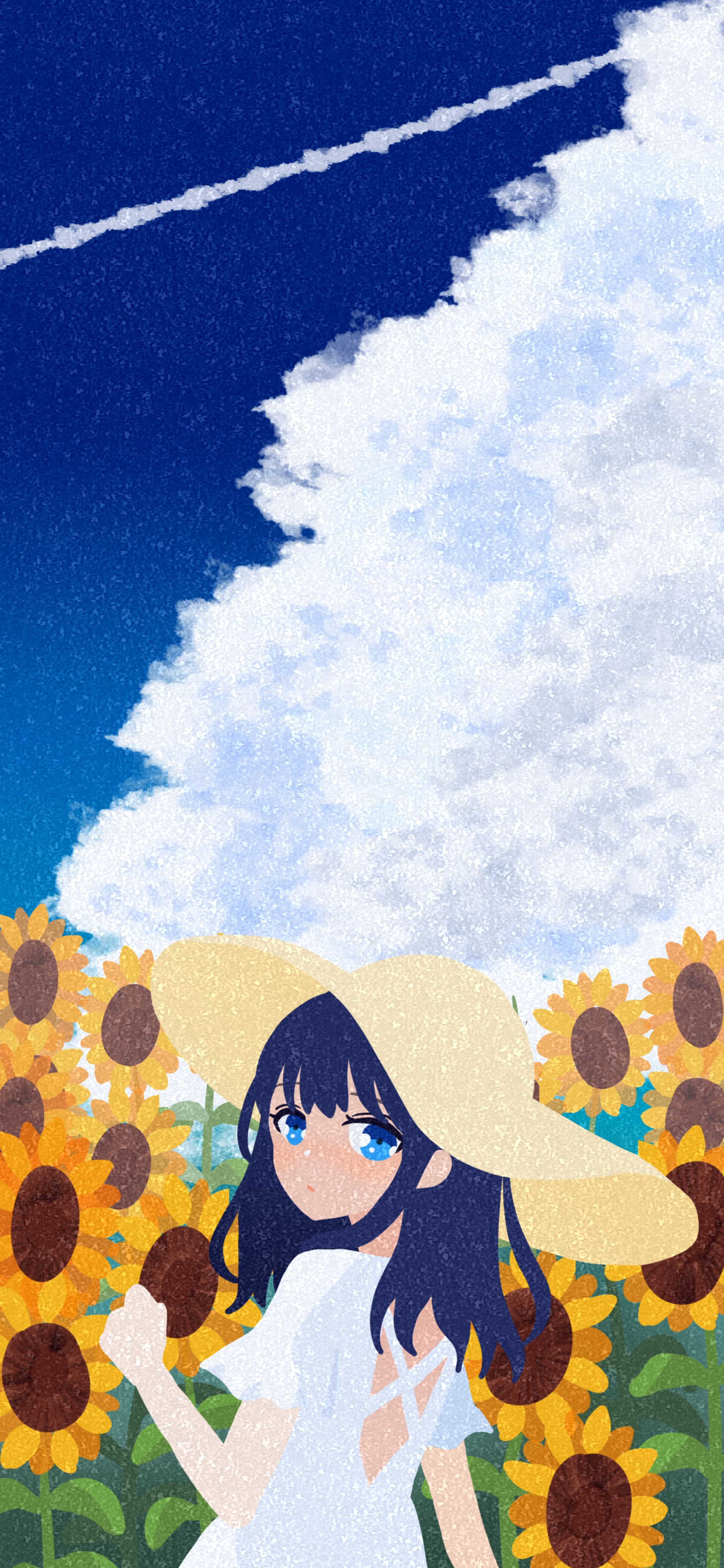 ひまわり畑と空-1